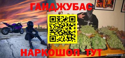 крисы Будённовск