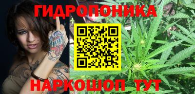 крисы Будённовск