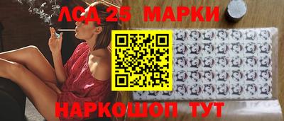 крисы Будённовск