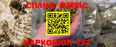 крисы Будённовск