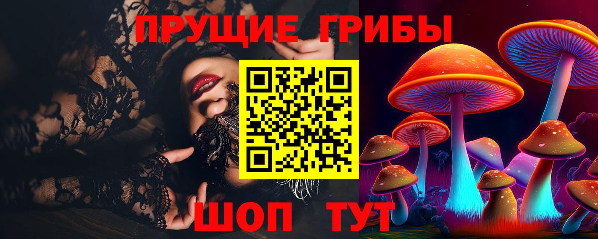Псилоцибиновые грибы Cubensis Кропоткин