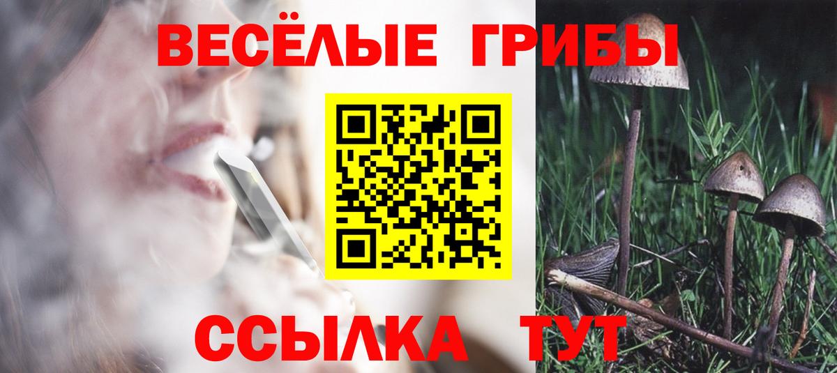 Кропоткин  Галлюциногенные грибы мицелий  Вход с VPN 